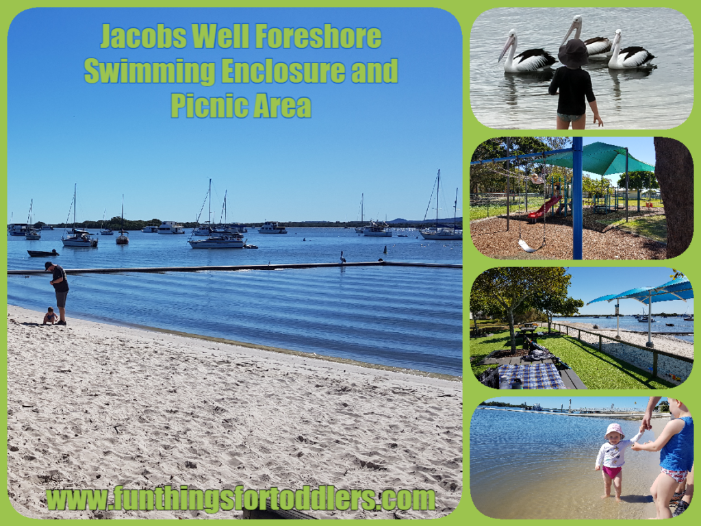 Jacobs Well Foreshore Swimming Enclosure and Picnic Area – Fun Things ...