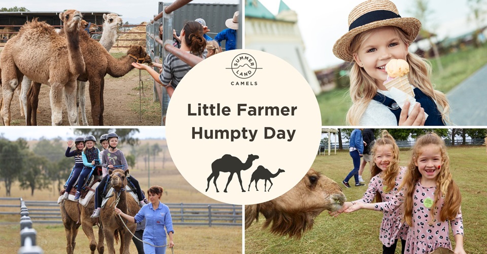 Little-Farmer-Humpty-Day-Summer-Land-Camels